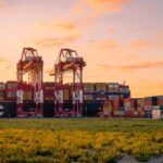 El tráfico total del Port de Barcelona crece un 11% en julio