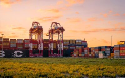 El tráfico total del Port de Barcelona crece un 11% en julio